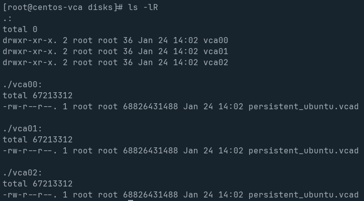 vcad files in ls dash lR